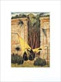 Aspidistra's Reminiscence
