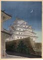 古城の夜（姫路城）