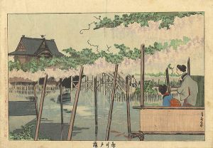 清親「東京名所図　亀井戸藤」