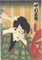 Kabuki Actor / Nakamura Shikan