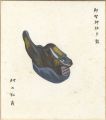 Shikishi(square fancy card boa......
