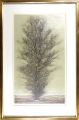 High tree （Brown）