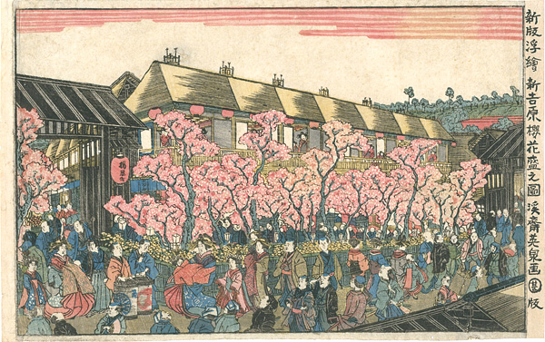 Eisen “新吉原櫻花盛之圖”