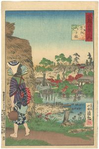 清親「武蔵百景之内　下総真間つぎ橋」