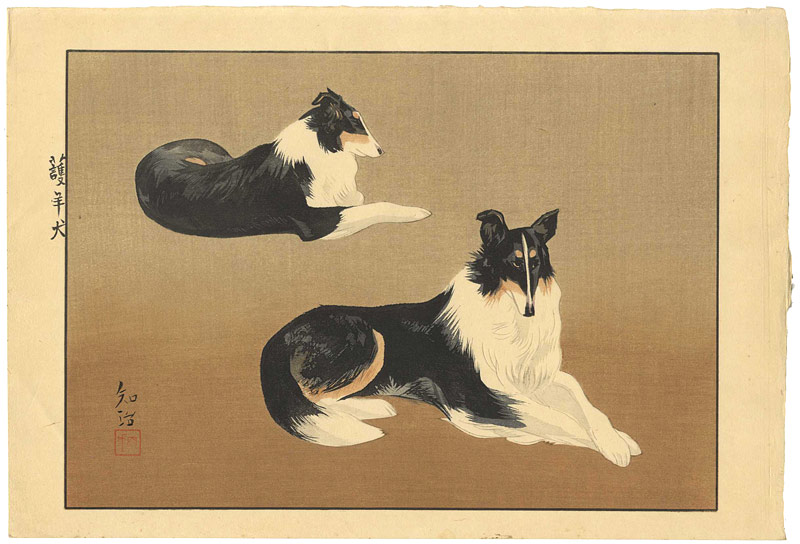 三上知治「護羊犬」