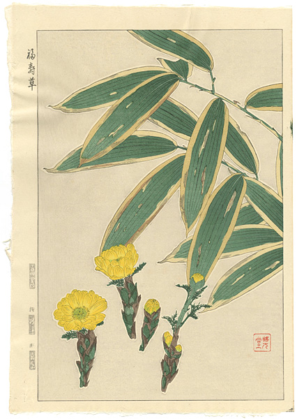 河原崎奨堂「福寿草」