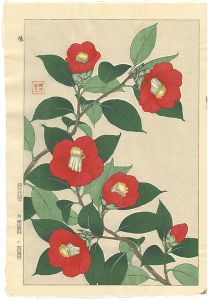 椿