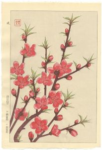 桃