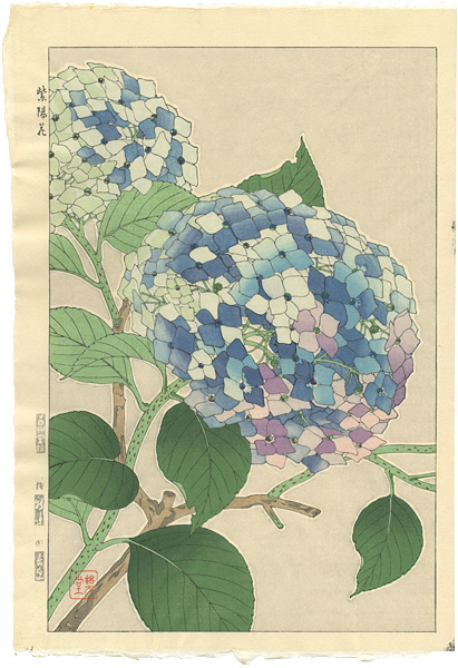 河原崎奨堂「紫陽花」