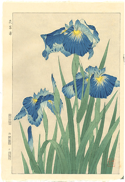 河原崎奨堂「花菖蒲」