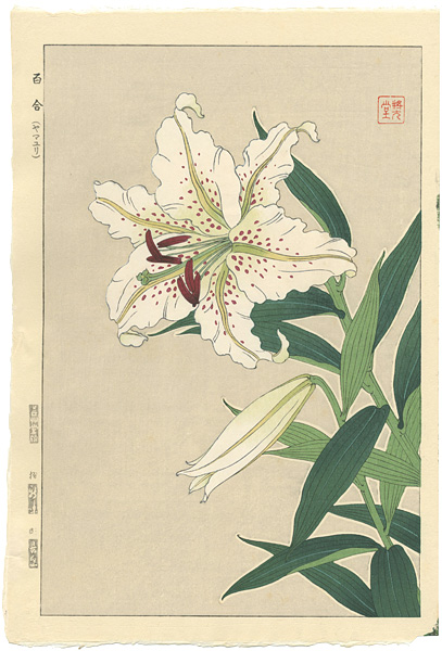 河原崎奨堂「百合（ヤマユリ）」