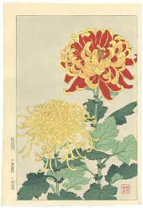 菊