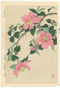山茶花