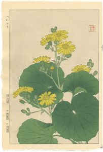 つわぶき
