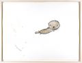 Sea Otter #2