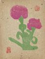 Carnation