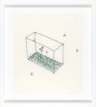 Garden Box