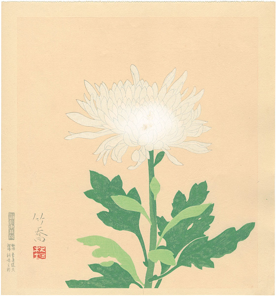 小野竹喬「白菊 （仮題）」