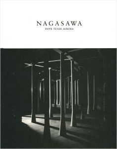 「長澤英俊 オーロラの向かう所」