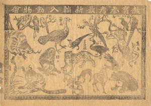 摺物　教育参考最新輸入動物会