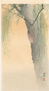 小原古邨（祥邨）「柳に蝉（仮）」