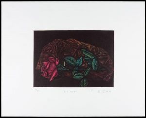 Oda Shigeru / Black Rose