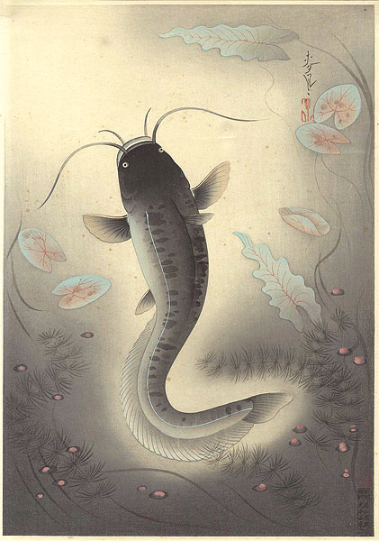 大野麥風「大日本魚類画集　鯰」