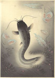 大野麥風「大日本魚類画集　鯰」