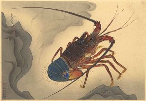 大野麥風「大日本魚類画集　伊勢海老」
