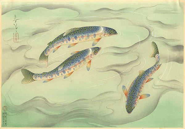大野麥風「大日本魚類画集　ニジマス」