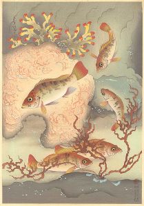 大野麥風「大日本魚類画集　メバル」