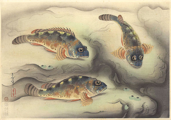 Ono Bakufu “Fish of Japan / The Kasago (Rosefish)”