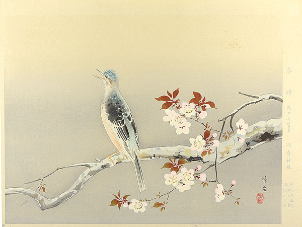 児玉希望「春晴」