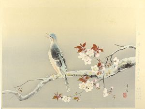 児玉希望「春晴」