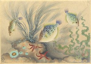 大野麥風「大日本魚類画集　カワハギ」