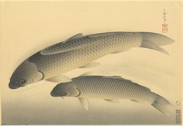 大野麥風「大日本魚類画集　真鯉」