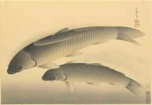 大野麥風「大日本魚類画集　真鯉」