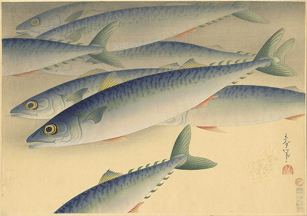 大野麥風「大日本魚類画集　鯖」