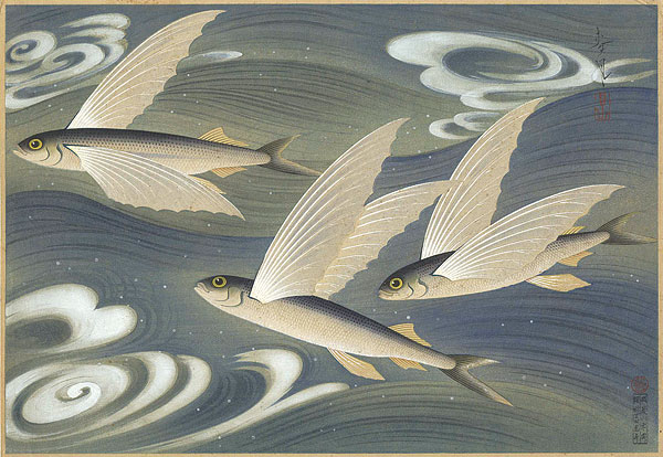 大野麥風「大日本魚類画集　飛魚」