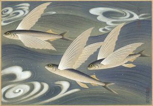大野麥風「大日本魚類画集　飛魚」
