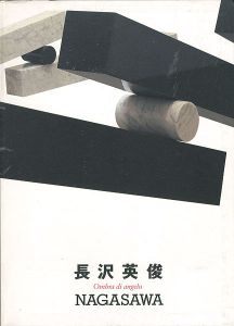 長沢英俊 天使の影