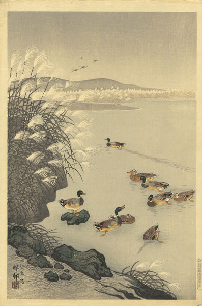 小原古邨（祥邨）「晩秋の池」