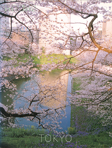 「写真集 ロックス／東京 No.7」林文浩監修