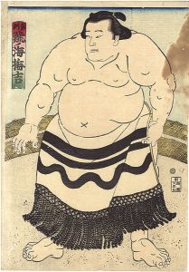 相撲絵　鯱ノ海 梅吉