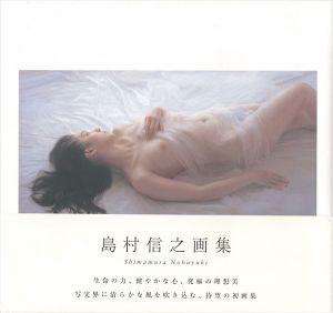 「島村信之画集」