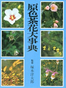 原色茶花大事典