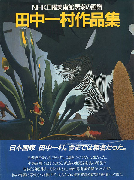 「田中一村作品集 NHK日曜美術館「黒潮の画譜」」