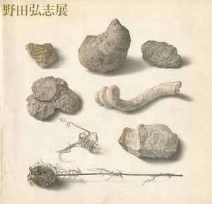 「明晰なる神秘 野田弘志展」