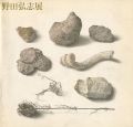 明晰なる神秘 野田弘志展