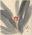 自筆色紙